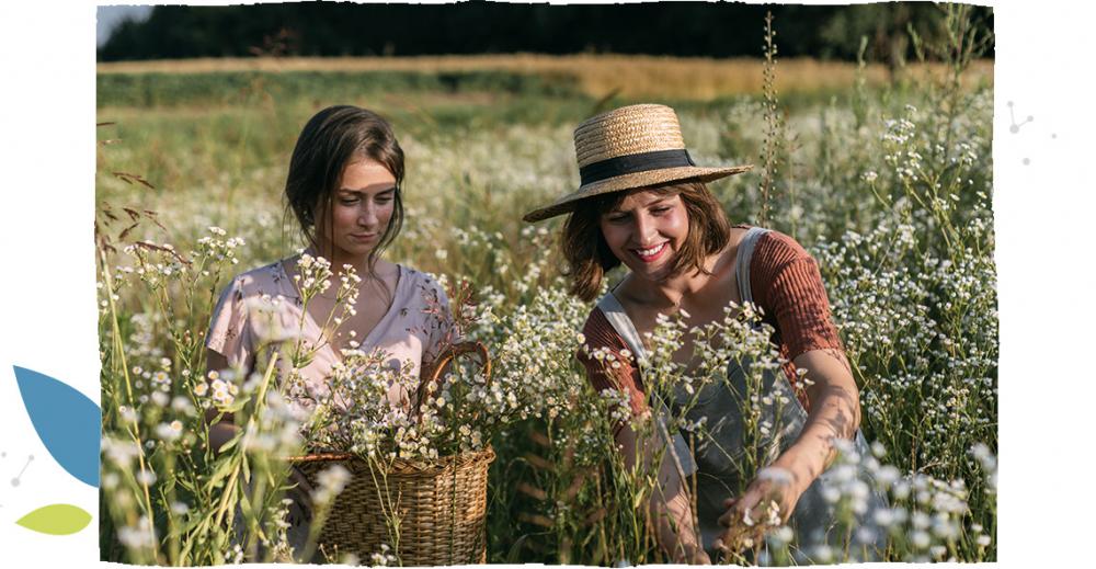 Two girls plucking flowers in forest.